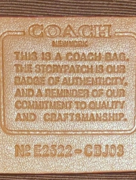 Coach Classic Signature C-Pattern Baguette Shoulder Bag